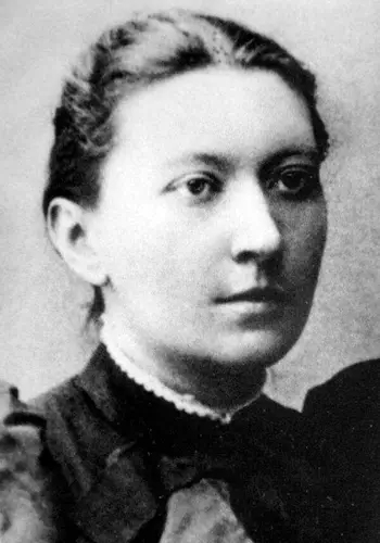 Дніпрова Чайка