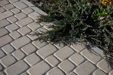 бруківка Старе місто: стиль та оригінальні рішення для простору картинка