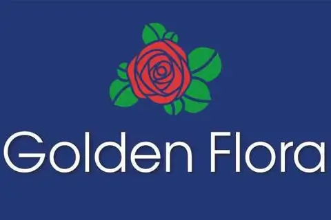 Незвичні способи подарувати червоні троянди, щоб вразити адресата