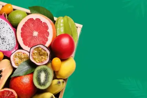 Перевага рослин з професійних розплідників