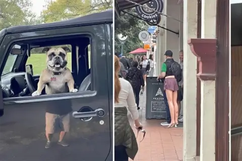 Просто здалося: 20 кумедних фото, які вводять в оману