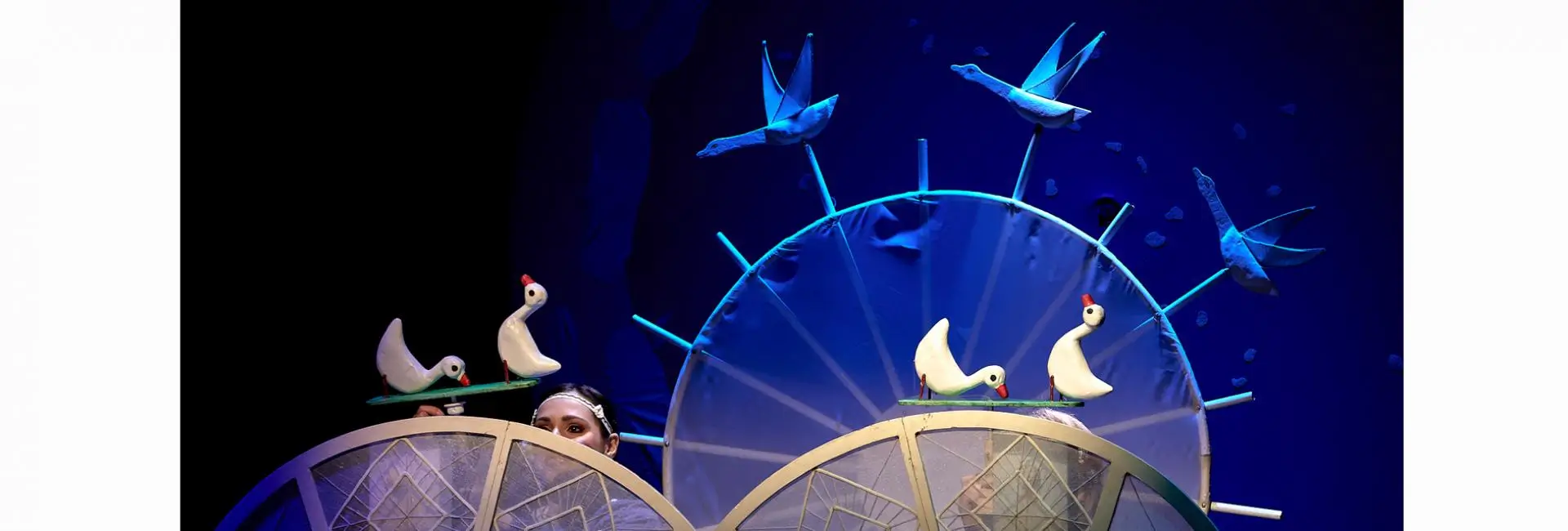 «Гуси-лебеди» Киев