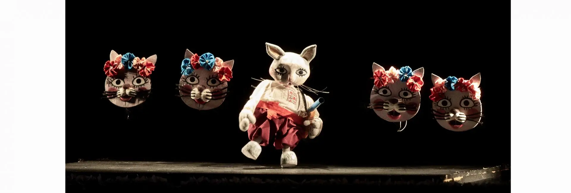 Котик и Петушок Киев