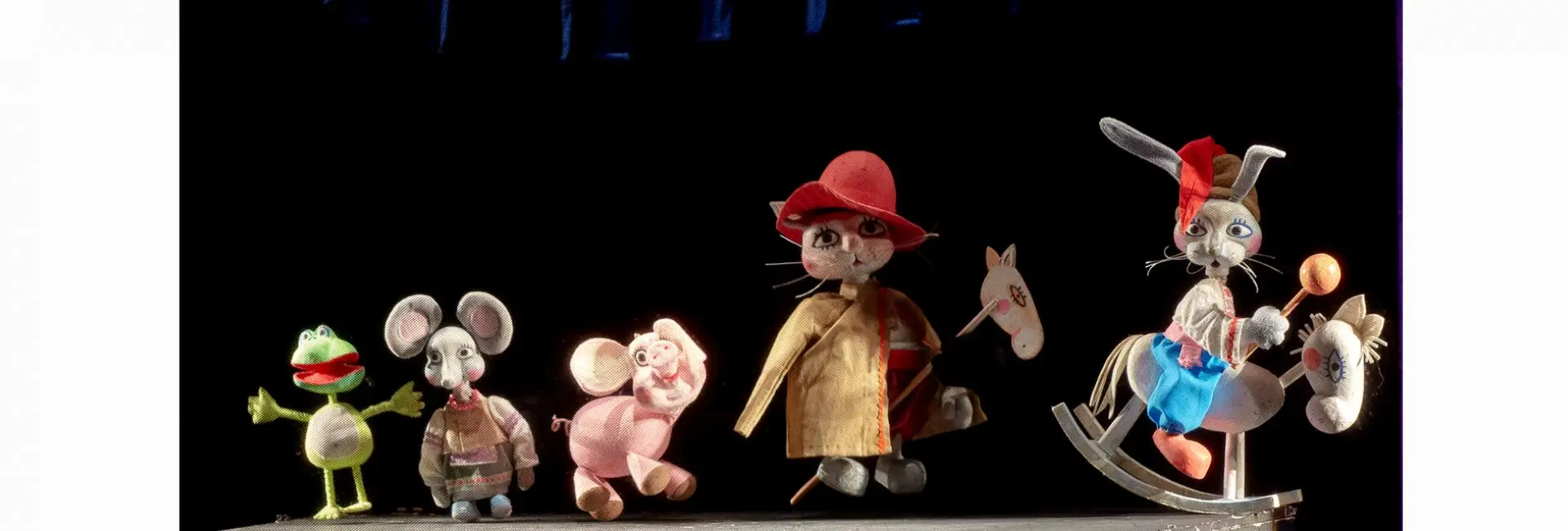 Котик и Петушок Киев