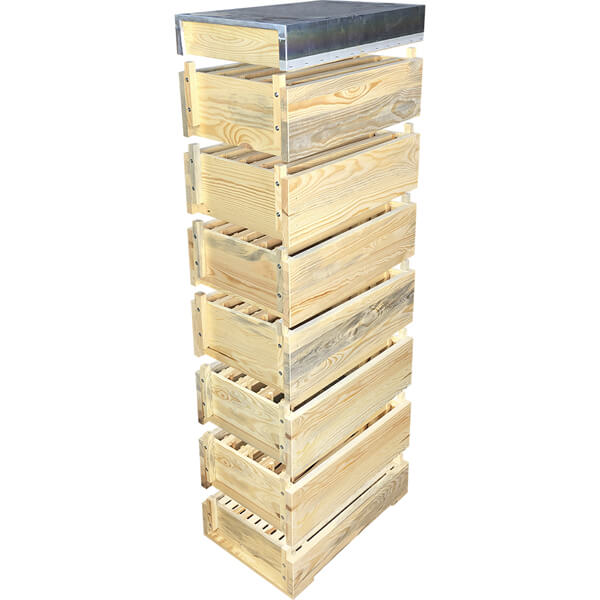 Рогатий вулик Паливоди