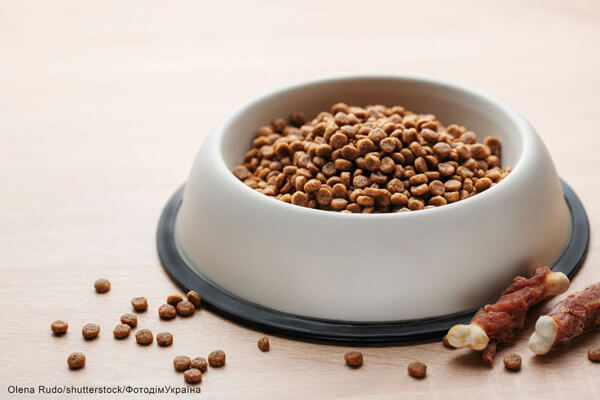 Корм для собаки