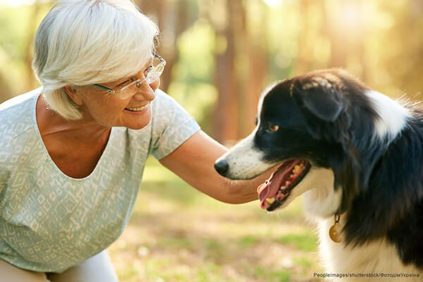 Корм для собаки