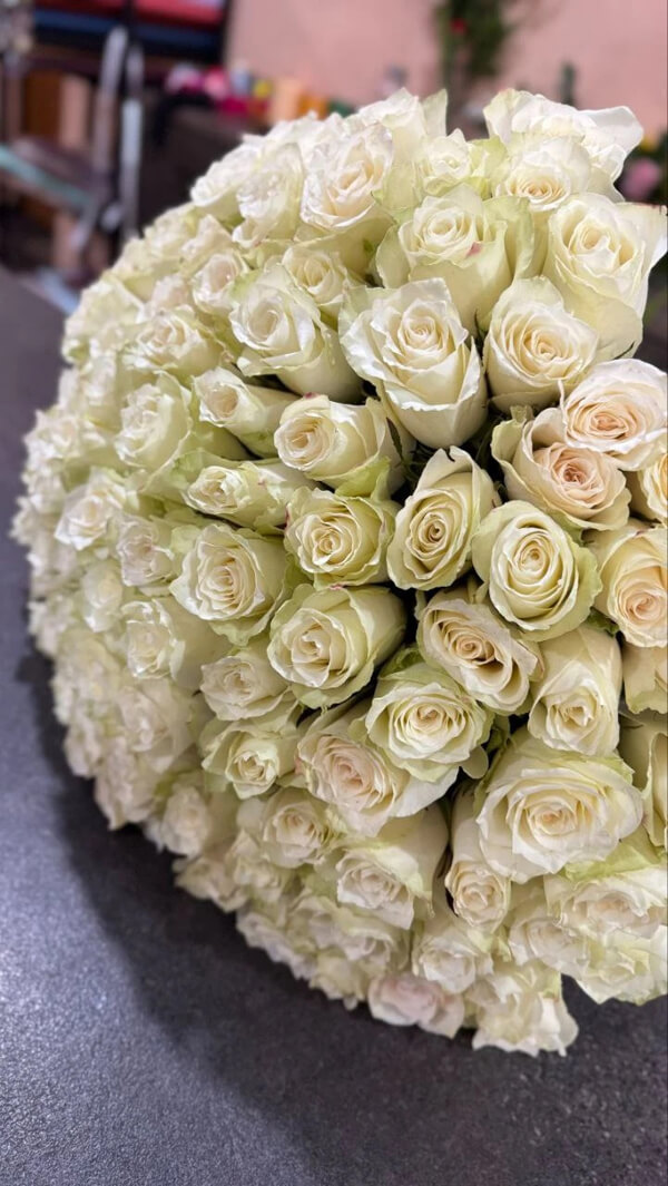 Білі троянди