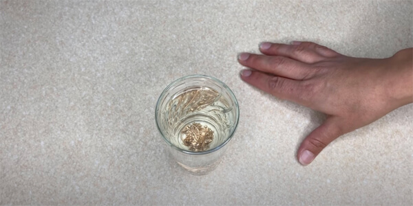 Як почистити золото в домашніх умовах: замочіть прикраси в нашатирному спирті