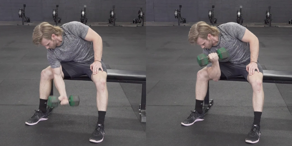 Концентрированный подъём на бицепс