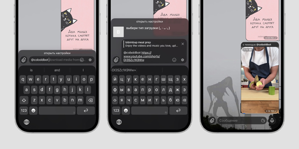 @coboldbot — онлайн-бот в телеграм для скачивания видео из YouTube по ссылке