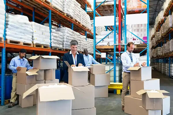 Профессиональная команда с многолетним опытом