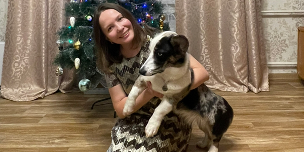 Вельш-коргі кардиган на Новий рік