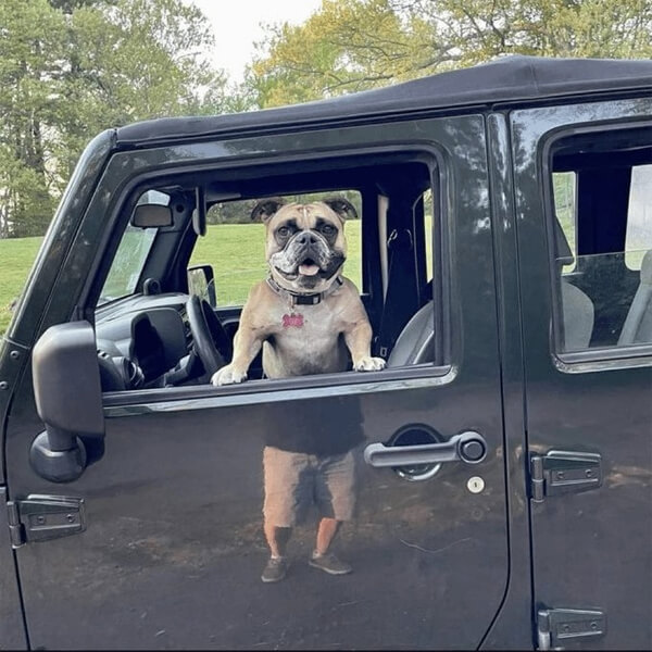 Ваше такси на месте