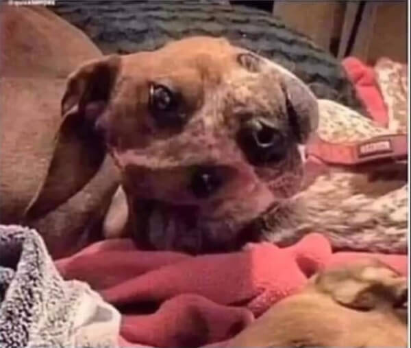 А вот здесь потребуется время, что всё встало на свои места