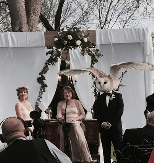 Свадьба в стиле «‎Гарри Поттера» или когда фотограф на вес золота