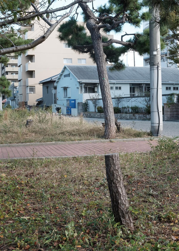 Когда ваша видеокарта уже не справляется