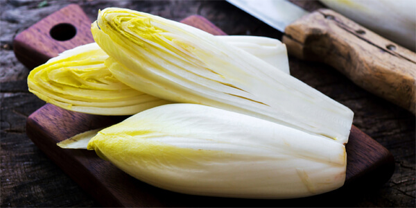 Салатный цикорий