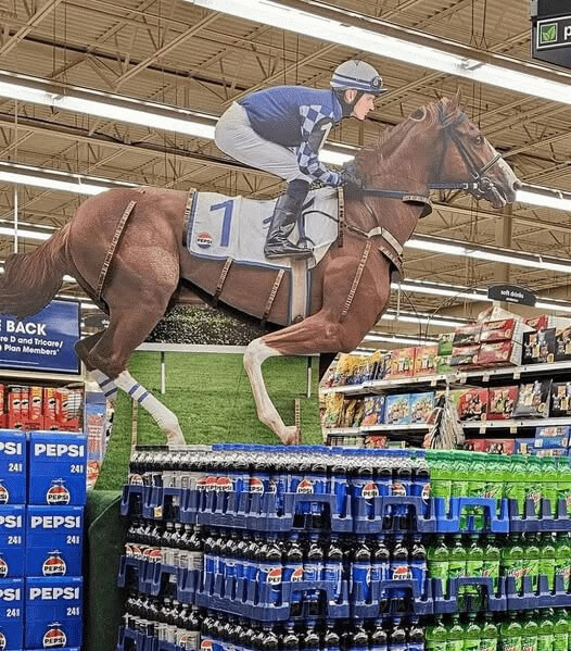 Здається, цій конячці потрібен ветеринар.