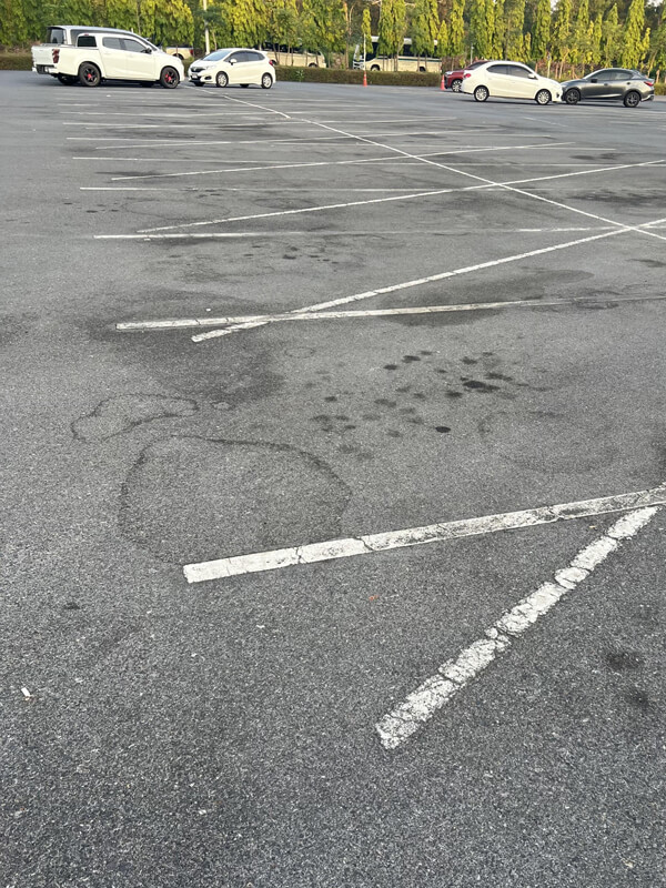 Шоу «Інтуїція».