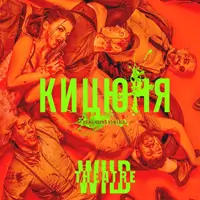 Котенок Киев