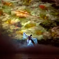 Дама з камеліями Київ