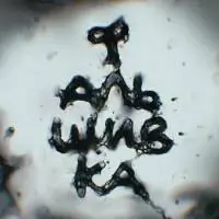 Фальшивка Київ