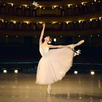 Малевич. Супрематическое движение, Жизель Киев