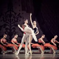 Пахіта Київ