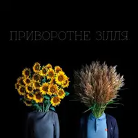 Приворотне зілля Київ