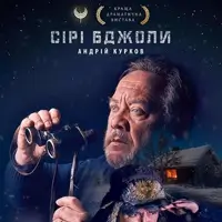 Сірі бджоли Київ